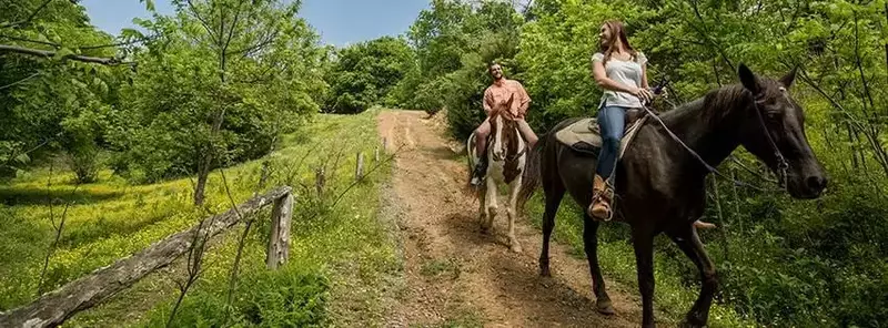 horseback riding in pigeon forge