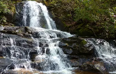 laurel falls