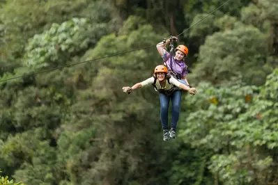 things-to-do-slide-ziplines