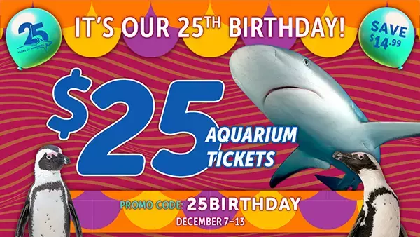 ripleys-promo-code-december-2025