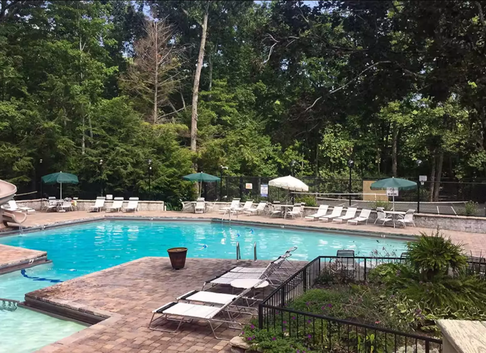 BEARADISE OBER SKI MOUNTAIN