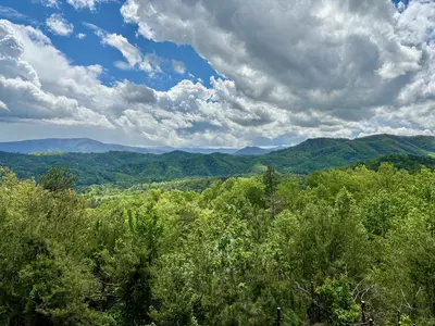 FIREPITS AND FIREFLIES