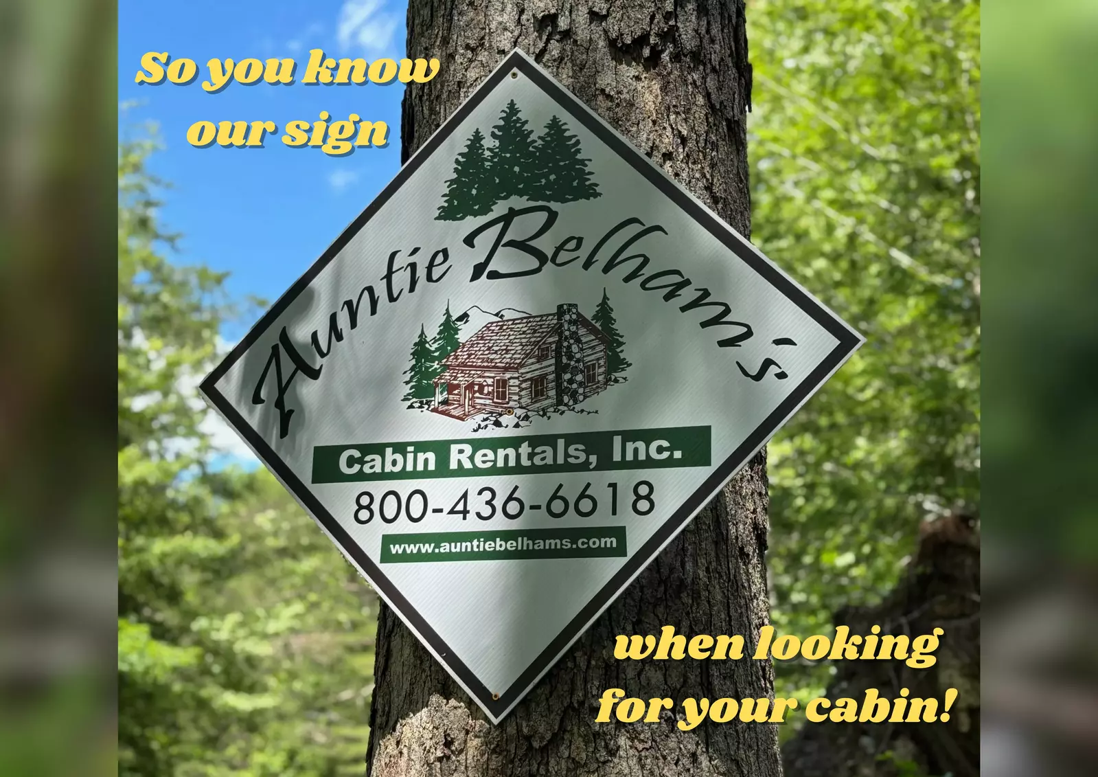 MOUNTAIN LOOKOUT LODGE